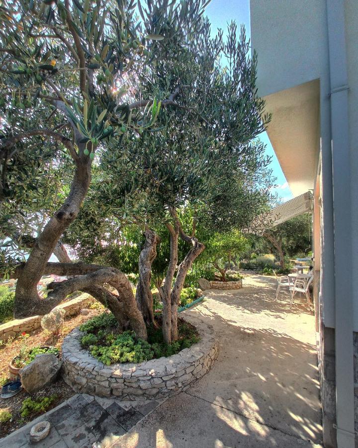 Casa Del Olivo Daire Tučepi Dış mekan fotoğraf