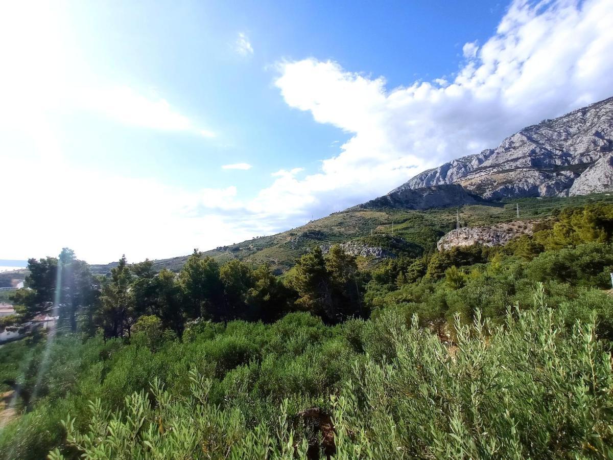 Casa Del Olivo Daire Tučepi Dış mekan fotoğraf